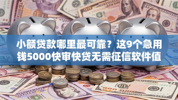 小额贷款哪里最可靠？这9个急用钱5000快审快贷无需征信软件值得一试