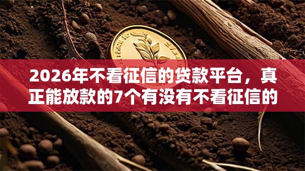 2026年不看征信的贷款平台，真正能放款的7个有没有不看征信的平台借钱推荐