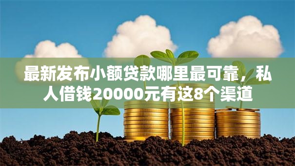 最新发布小额贷款哪里最可靠，私人借钱20000元有这8个渠道