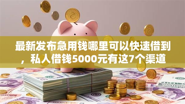 最新发布急用钱哪里可以快速借到，私人借钱5000元有这7个渠道