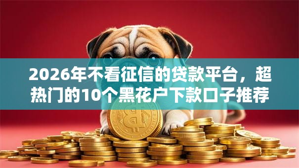2026年不看征信的贷款平台，超热门的10个黑花户下款口子推荐
