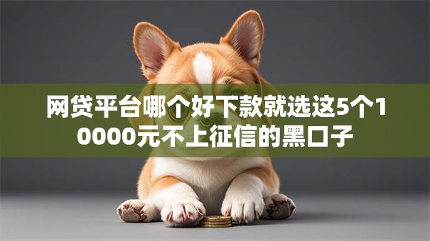 网贷平台哪个好下款就选这5个10000元不上征信的黑口子