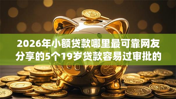 2026年小额贷款哪里最可靠网友分享的5个19岁贷款容易过审批的app我觉得不错！