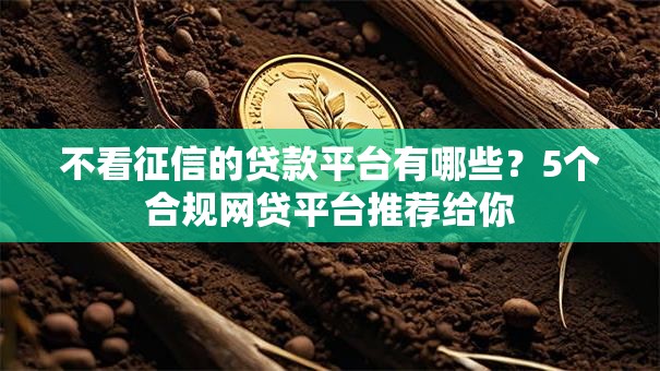 不看征信的贷款平台有哪些？5个合规网贷平台推荐给你