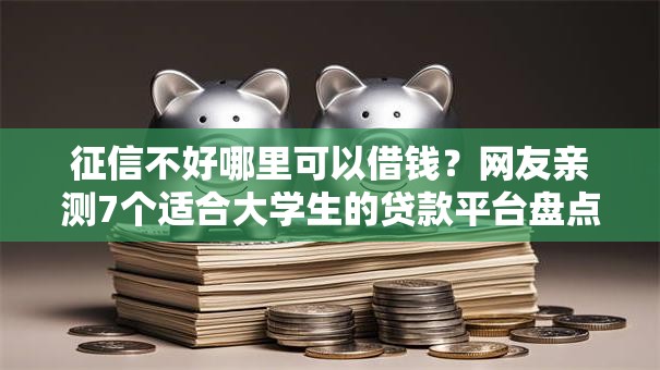 征信不好哪里可以借钱？网友亲测7个适合大学生的贷款平台盘点