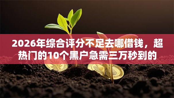 2026年综合评分不足去哪借钱,超热门的10个黑户急需三万秒到的的口子推荐 2026年综合评分不足去哪借钱,超热门的10个黑户急需三万秒到的的口子推荐