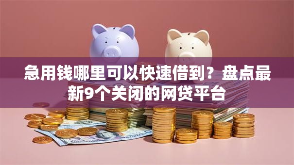急用钱哪里可以快速借到？盘点最新9个关闭的网贷平台