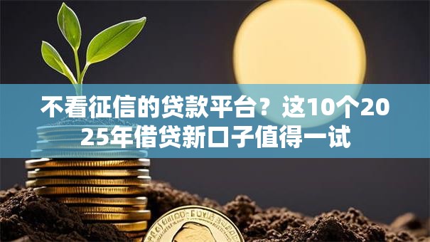 不看征信的贷款平台?这10个2025年借贷新口子值得一试 不看征信的贷款平台?这10个2025年借贷新口子值得一试