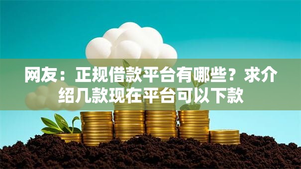 网友：正规借款平台有哪些？求介绍几款现在平台可以下款