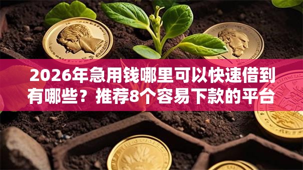 2026年急用钱哪里可以快速借到有哪些?推荐8个容易下款的平台 2026年急用钱哪里可以快速借到有哪些?推荐8个容易下款的平台