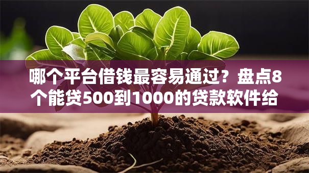 哪个平台借钱最容易通过?盘点8个能贷500到1000的贷款软件给你参考 哪个平台借钱最容易通过?盘点8个能贷500到1000的贷款软件给你参考