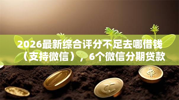 2026最新综合评分不足去哪借钱（支持微信），6个微信分期贷款平台无私分享