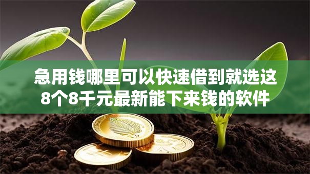 急用钱哪里可以快速借到就选这8个8千元最新能下来钱的软件 急用钱哪里可以快速借到就选这8个8千元最新能下来钱的软件
