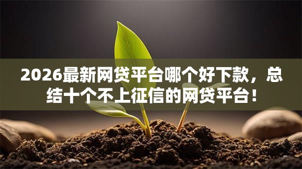 2026最新网贷平台哪个好下款，总结十个不上征信的网贷平台！