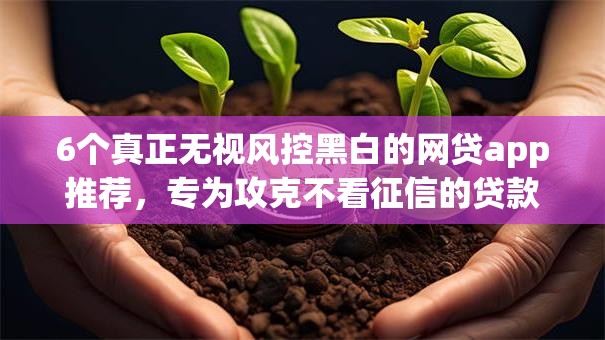 6个真正无视风控黑白的网贷app推荐,专为攻克不看征信的贷款平台难题 6个真正无视风控黑白的网贷app推荐,专为攻克不看征信的贷款平台难题