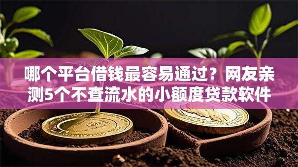 哪个平台借钱最容易通过？网友亲测5个不查流水的小额度贷款软件盘点