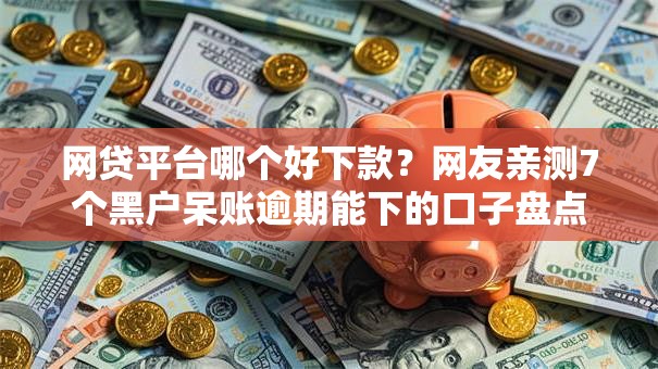 网贷平台哪个好下款？网友亲测7个黑户呆账逾期能下的口子盘点