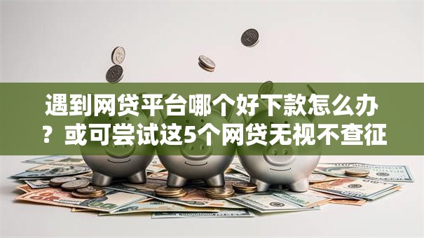 遇到网贷平台哪个好下款怎么办？或可尝试这5个网贷无视不查征信软件