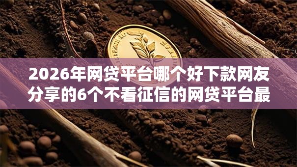 2026年网贷平台哪个好下款网友分享的6个不看征信的网贷平台最容易通过的我觉得不错！