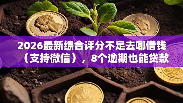 2026最新综合评分不足去哪借钱（支持微信），8个逾期也能贷款的平台无私分享