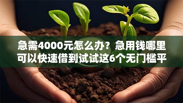 急需4000元怎么办？急用钱哪里可以快速借到试试这6个无门槛平台