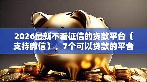 2026最新不看征信的贷款平台（支持微信），7个可以贷款的平台无私分享