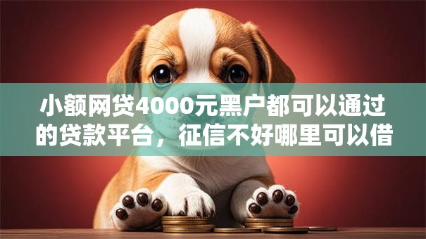 小额网贷4000元黑户都可以通过的贷款平台，征信不好哪里可以借钱的5个平台介绍