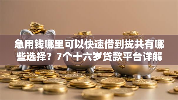 急用钱哪里可以快速借到拢共有哪些选择？7个十六岁贷款平台详解