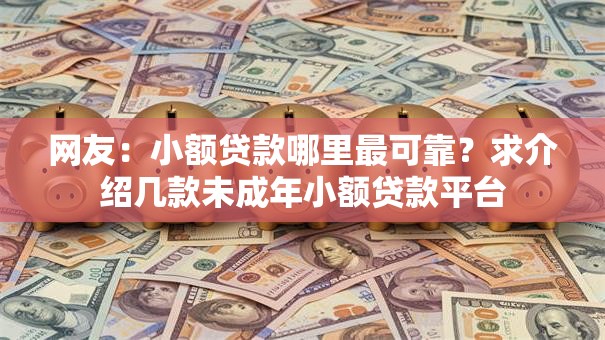 网友：小额贷款哪里最可靠？求介绍几款未成年小额贷款平台