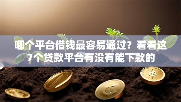 哪个平台借钱最容易通过？看看这7个贷款平台有没有能下款的