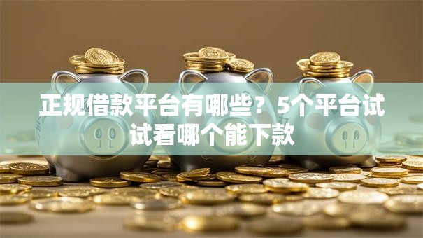 正规借款平台有哪些？5个平台试试看哪个能下款