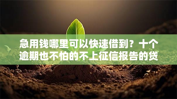 急用钱哪里可以快速借到？十个逾期也不怕的不上征信报告的贷款口子
