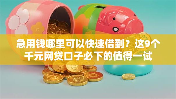 急用钱哪里可以快速借到?这9个千元网贷口子必下的值得一试 急用钱哪里可以快速借到?这9个千元网贷口子必下的值得一试