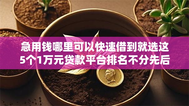 急用钱哪里可以快速借到就选这5个1万元贷款平台排名不分先后 急用钱哪里可以快速借到就选这5个1万元贷款平台排名不分先后