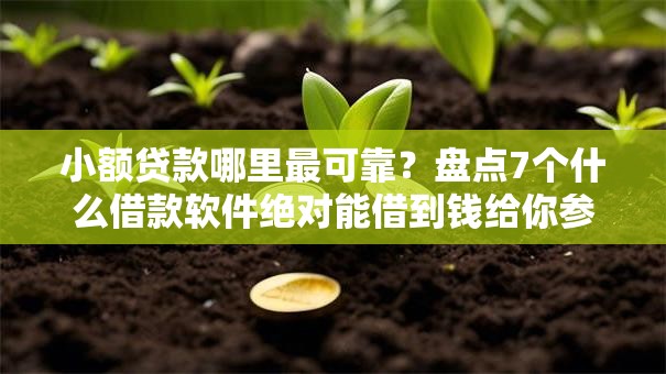 小额贷款哪里最可靠？盘点7个什么借款软件绝对能借到钱给你参考