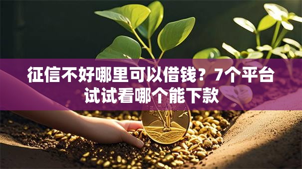 征信不好哪里可以借钱?7个平台试试看哪个能下款 征信不好哪里可以借钱?7个平台试试看哪个能下款