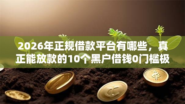 2026年正规借款平台有哪些,真正能放款的10个黑户借钱0门槛极速下款软件推荐 2026年正规借款平台有哪些,真正能放款的10个黑户借钱0门槛极速下款软件推荐