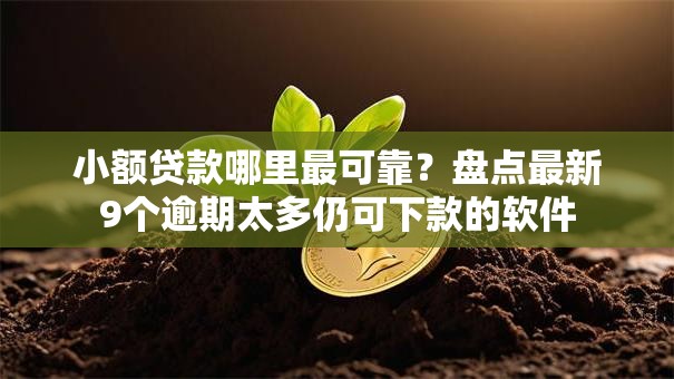 小额贷款哪里最可靠?盘点最新9个逾期太多仍可下款的软件 小额贷款哪里最可靠?盘点最新9个逾期太多仍可下款的软件
