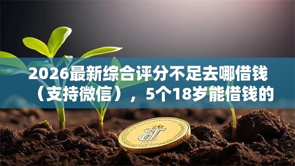 2026最新综合评分不足去哪借钱(支持微信),5个18岁能借钱的平台无私分享 2026最新综合评分不足去哪借钱(支持微信),5个18岁能借钱的平台无私分享