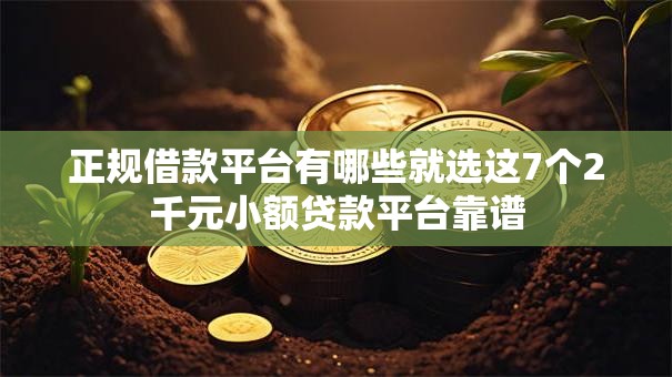 正规借款平台有哪些就选这7个2千元小额贷款平台靠谱 正规借款平台有哪些就选这7个2千元小额贷款平台靠谱