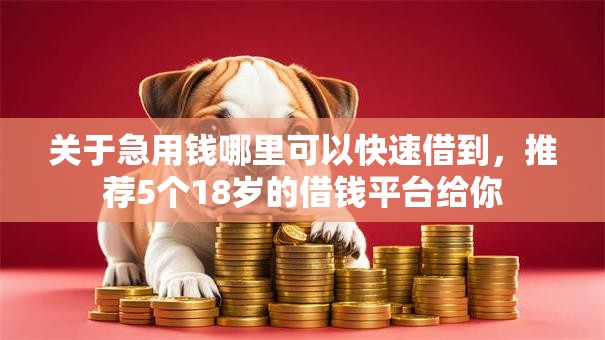 关于急用钱哪里可以快速借到，推荐5个18岁的借钱平台给你