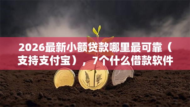 2026最新小额贷款哪里最可靠（支持支付宝），7个什么借款软件绝对能借到钱无私分享