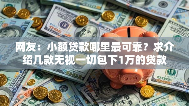 网友:小额贷款哪里最可靠?求介绍几款无视一切包下1万的贷款 网友:小额贷款哪里最可靠?求介绍几款无视一切包下1万的贷款