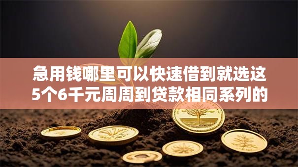 急用钱哪里可以快速借到就选这5个6千元周周到贷款相同系列的口子 急用钱哪里可以快速借到就选这5个6千元周周到贷款相同系列的口子
