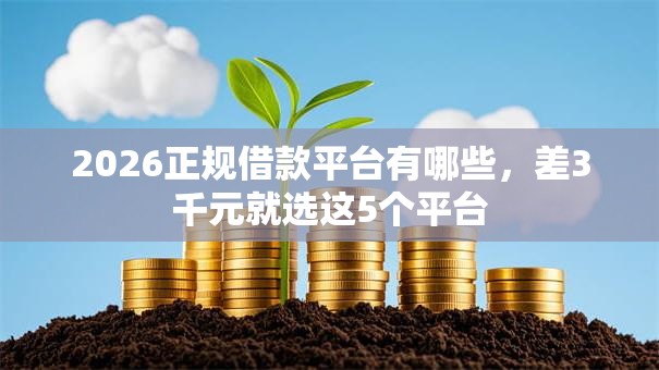 2026正规借款平台有哪些,差3千元就选这5个平台 2026正规借款平台有哪些,差3千元就选这5个平台