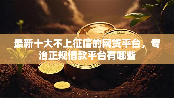 最新十大不上征信的网贷平台,专治正规借款平台有哪些 最新十大不上征信的网贷平台,专治正规借款平台有哪些