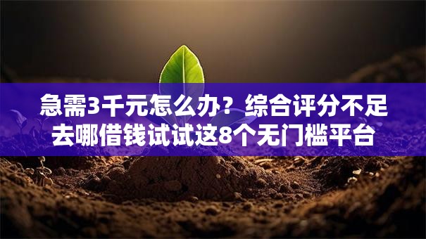急需3千元怎么办？综合评分不足去哪借钱试试这8个无门槛平台