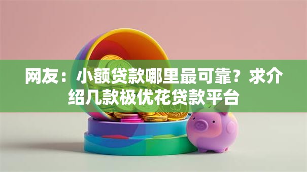 网友：小额贷款哪里最可靠？求介绍几款极优花贷款平台