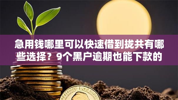 急用钱哪里可以快速借到拢共有哪些选择?9个黑户逾期也能下款的网贷详解 急用钱哪里可以快速借到拢共有哪些选择?9个黑户逾期也能下款的网贷详解