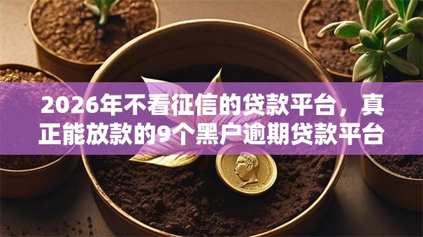 2026年不看征信的贷款平台，真正能放款的9个黑户逾期贷款平台推荐